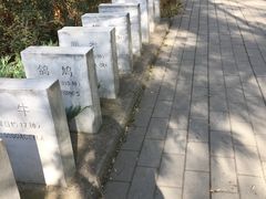 -北京麋鹿生态实验中心