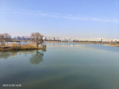 -贡湖湾湿地公园