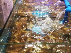 -领鲜活海鲜榴莲自助火锅(东门店)