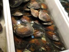 -十八字金·银饰·拼豆·开蚌DIY(魏公芳华里店)