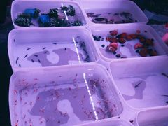 -华声天桥民俗文化园