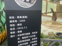 -青藏高原野生动物园