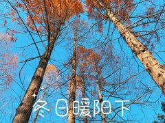 -白水寺森林公园