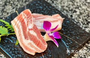Signature Black Berkshire Pork Belly