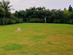 -福田红树林生态公园