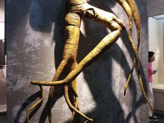 -广东中医药博物馆