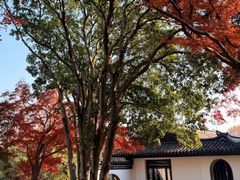 -无锡梅园公园