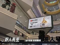 -野人先生Gelato(上海长宁龙之梦店)
