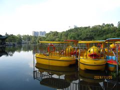 -桂湖森林公园
