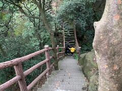 -缙云山景区