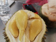 -都念榴莲·城市榴莲