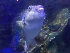 -太平洋海底世界