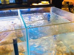 水产区-长沙北辰洲际酒店-兰调全日餐厅