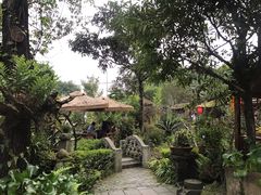 -青城甲(青城山店)