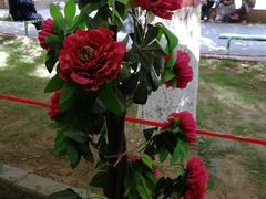 -艾提尕尔清真寺