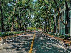 -四川大学(望江校区)