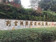 -重庆彩云湖湿地公园