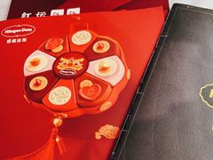 -哈根达斯(龙湖时代天街店)