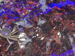 -澜悦港海鲜体验主题餐厅