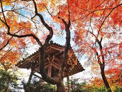 -常寂光寺