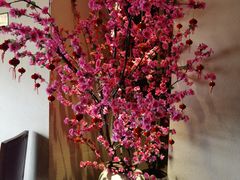 -東大方(安吉灵芝店)