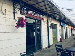 门面-油梨树AVOCADO TREE(顺义新国展店)