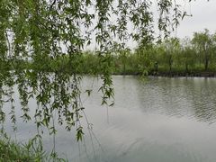 -广富林郊野公园