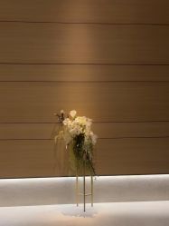 -恒美雅轩·品牌直营连锁