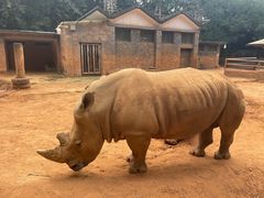 -昆明动物园