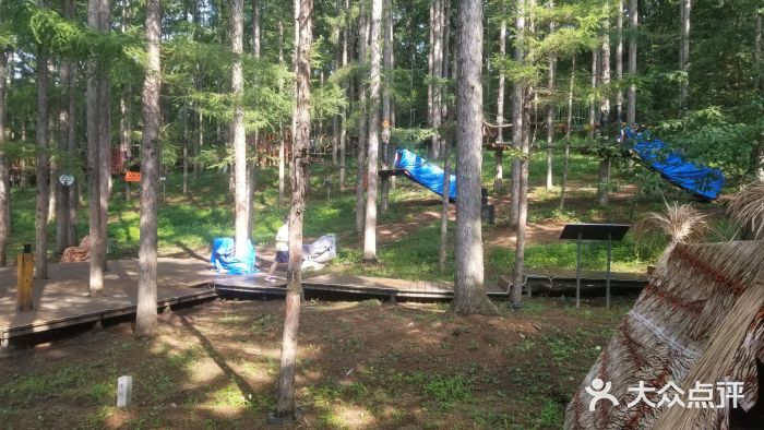 吉林市朱雀山国家森林公园图片