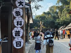 -野象谷景区