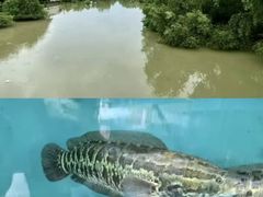 -崖口红树林海鲜餐厅