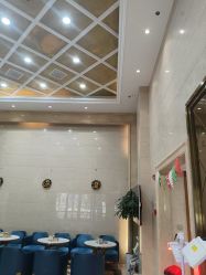 -碧莲盛·不剃发植发