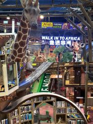 -卡通尼·Safari非洲探索乐园·生日会(金桥国际商业广场店)