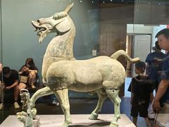 -广西壮族自治区博物馆