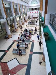 -上海交通大学医学院附属上海儿童医学中心(陆家嘴总院区)