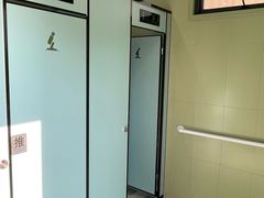 -春花秋色城市公园