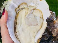-辉记炭烧海鲜大排档·老字号(福田店)
