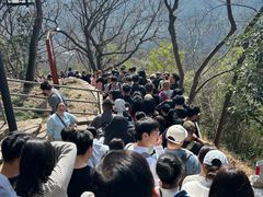 -灵顺寺