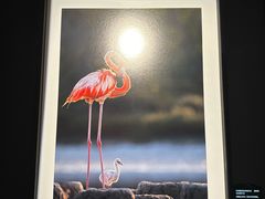 -罗红摄影艺术馆