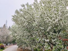 -元大都城垣遗址公园