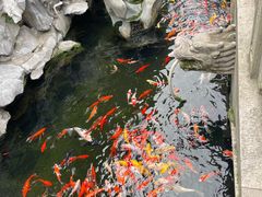 -西林禅寺