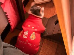 -布梵·台式热敷古法按摩Massage·Spa(品尊国际店)