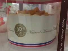 -维尔纳斯·生日蛋糕·动物奶油冰淇淋蛋糕(六里桥店)