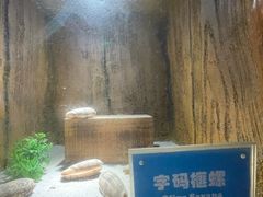-南昌海洋公园