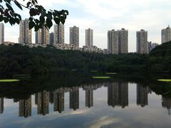 -重庆彩云湖湿地公园