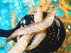 -阳光岛·海鲜盛宴(银泰中心in99店)