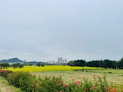 -光明小镇欢乐田园