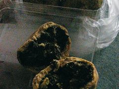 -小闺女儿肉龙(西湖道店)