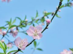 -西湖公园(鼓楼区)